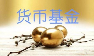 货币基金有哪些特点（货币基金的五大特点）