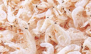 虾米小炒 虾米小炒皇