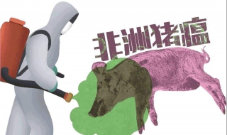 非洲猪瘟如何预防（非洲猪瘟如何预防用什么消毒液）