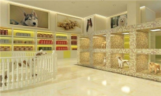 在胶州如何选择好的宠物医院（胶南比较好的宠物医院）