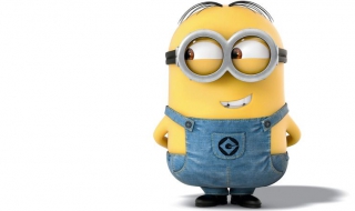 神偷奶爸 神偷奶爸前传