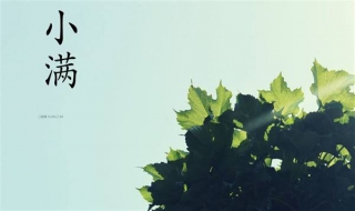 气候更新 气象更新的更