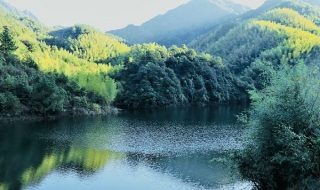 吃喝玩乐 吃喝玩乐取名