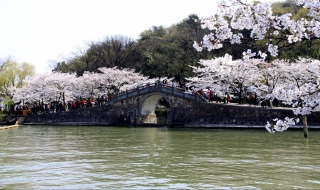 无锡美食经验介绍（无锡美食攻略吃货大全）