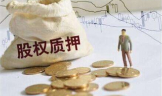 2017企业股权质押流程（2017企业股权质押流程视频）