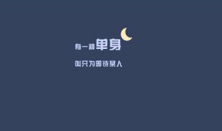 有一种单身叫宁缺毋滥 有一种单身叫宁缺毋滥图片
