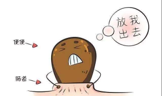 大便干燥出血怎么办 肛门大便干燥出血怎么办