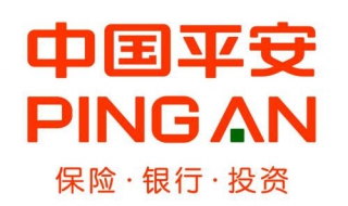 怎么做平安保险，依靠群众的力量（怎么做平安保险,依靠群众的力量保障）