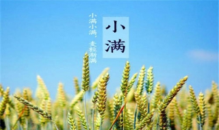 小满节气养生常识，防止（小满节气养生注意事项）