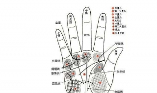 教你如何轻松看懂手相 教你如何轻松看懂手相图片