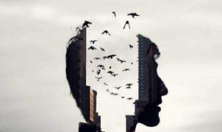 怎样树立人生价值观（如何树立人生价值观）