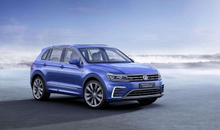 途观新车有味道怎么办（途观新车有味道怎么办视频）