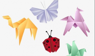 如何剪甲壳虫 甲虫怎么剪