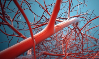 动脉穿刺操作的方法与步骤 动脉穿刺手法