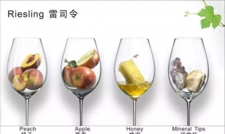 雷司令游戏指南（司令官游戏）