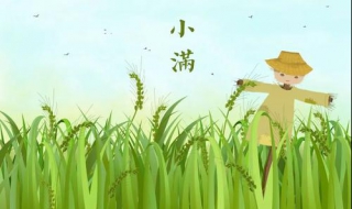 什么是小满 什么是小满季节