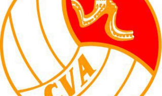 中国女排教会了我们什么（中国女排教会了我们什么精神）