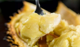 在家怎么做榴莲冰淇淋（在家怎么做榴莲冰淇淋简单）
