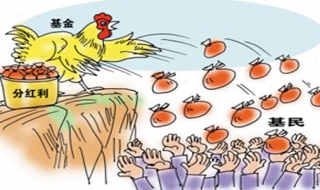 基金分红怎么算 基金分红怎么算收益