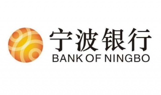 宁波银行如何进行电子回单查询（宁波银行如何进行电子回单查询操作）