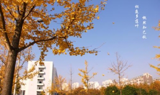 华科云X3配置经验分享 云科x35