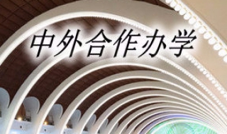 什么是中外合作办学 什么是中外合作办学的大学