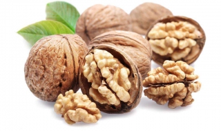 核桃钳子怎么用（核桃钳子怎么用视频教程）