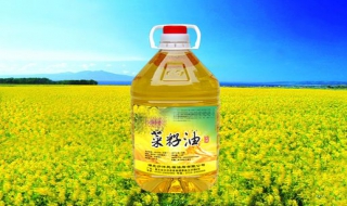 选购菜籽油的技巧和经验之谈（如何选菜籽油）