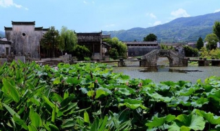 歙县安徽一日游 安徽旅游歙县