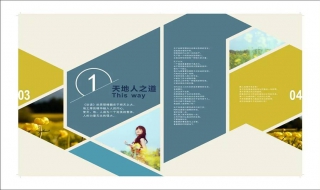 书籍版式设计的基本常识介绍 书籍版式设计的基本常识介绍怎么写