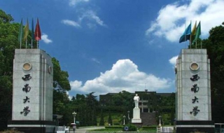 西南大学 西南大学是985还是211