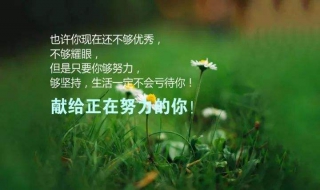 唯美的句子，感悟人生 唯美的人生感悟的句子
