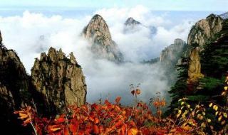 黄山有什么好玩的景点（黄山风景区都有什么好玩的地方）