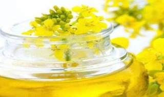 菜籽油的制作方法 菜籽油的制作方法和配料