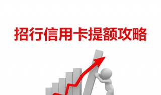信用卡提额技巧（农业信用卡提额技巧）