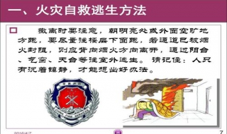 森林火灾自救方法有哪些 森林火灾自救的基本方法