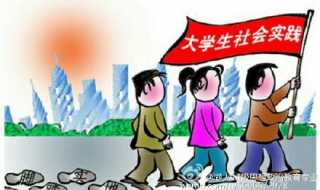大学生如何参加社会实践 大学生如何参加社会实践英语作文