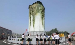 邯郸市肥乡区如何办理个体营业执照（邯郸市肥乡区如何办理个体营业执照业务）