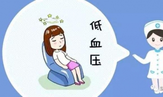 血压低头晕怎么办，赶紧来看看 血压低头晕怎么办呢?