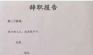 辞职报告怎么写（辞职报告怎么写简单点）