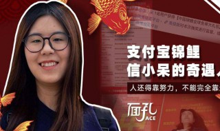 信小呆是谁（信小呆怎么了）