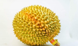 如何挑选榴莲（如何挑选榴莲肉多皮薄）