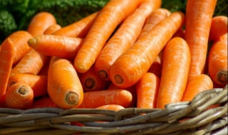 胡萝卜生吃好还是熟吃好