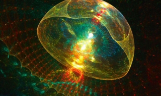 水母怎么吃东西 水母怎么吃东西秒懂百科