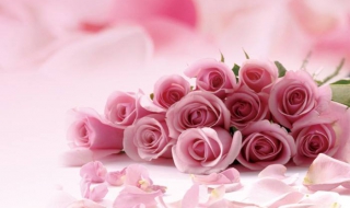 简笔画玫瑰花的画法详解 玫瑰花的画法 简笔画