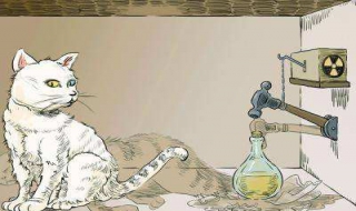 "薛定谔的猫"是什么（薛定谔的猫是什么实验）