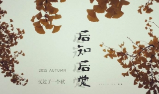 后知后觉 后知后觉小说免费阅读