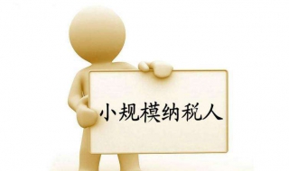 小规模纳税人如何报税 小规模纳税人如何报税增值税