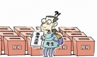 高考志愿填报技巧有哪些 高考志愿填报技巧有哪些专业