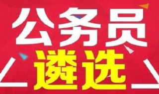 如何应对中央机关公务员遴选考试（如何应对中央机关公务员遴选考试问题）